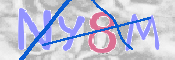CAPTCHA 驗證圖片