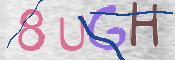 CAPTCHA 驗證圖片