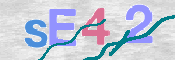 CAPTCHA 驗證圖片