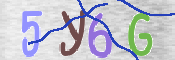 CAPTCHA 驗證圖片
