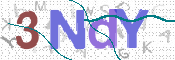 CAPTCHA 驗證圖片