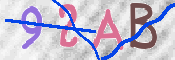CAPTCHA 驗證圖片