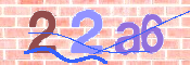 CAPTCHA 驗證圖片