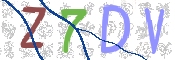 CAPTCHA 驗證圖片
