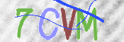 CAPTCHA 驗證圖片