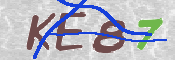 CAPTCHA 驗證圖片
