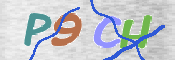 CAPTCHA 驗證圖片