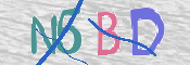 CAPTCHA 驗證圖片