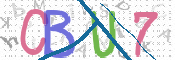 CAPTCHA 驗證圖片