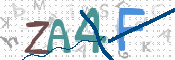 CAPTCHA 驗證圖片
