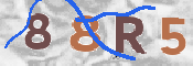 CAPTCHA 驗證圖片
