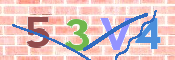 CAPTCHA 驗證圖片