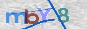 CAPTCHA 驗證圖片