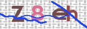 CAPTCHA 驗證圖片