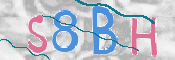 CAPTCHA 驗證圖片