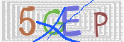 CAPTCHA 驗證圖片