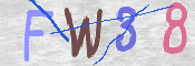CAPTCHA 驗證圖片