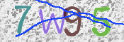 CAPTCHA 驗證圖片