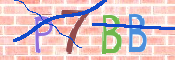 CAPTCHA 驗證圖片