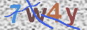 CAPTCHA 驗證圖片