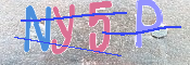 CAPTCHA 驗證圖片