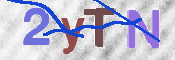 CAPTCHA 驗證圖片