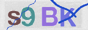 CAPTCHA 驗證圖片