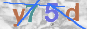 CAPTCHA 驗證圖片