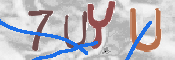 CAPTCHA 驗證圖片