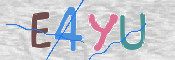 CAPTCHA 驗證圖片