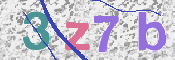 CAPTCHA 驗證圖片