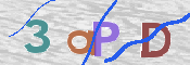 CAPTCHA 驗證圖片