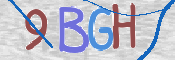 CAPTCHA 驗證圖片