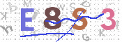 CAPTCHA 驗證圖片