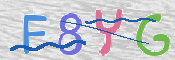 CAPTCHA 驗證圖片