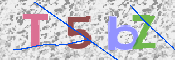 CAPTCHA 驗證圖片