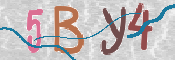 CAPTCHA 驗證圖片