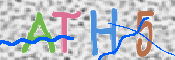 CAPTCHA 驗證圖片