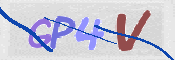 CAPTCHA 驗證圖片