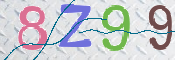 CAPTCHA 驗證圖片