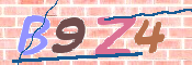 CAPTCHA 驗證圖片