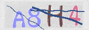 CAPTCHA 驗證圖片