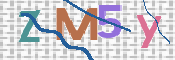 CAPTCHA 驗證圖片