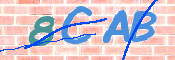CAPTCHA 驗證圖片