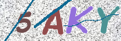 CAPTCHA 驗證圖片