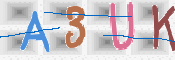 CAPTCHA 驗證圖片