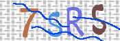 CAPTCHA 驗證圖片