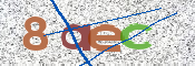 CAPTCHA 驗證圖片