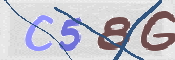 CAPTCHA 驗證圖片