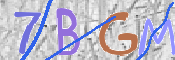 CAPTCHA 驗證圖片